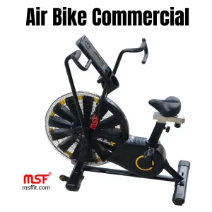 Air Bike (Commercial)