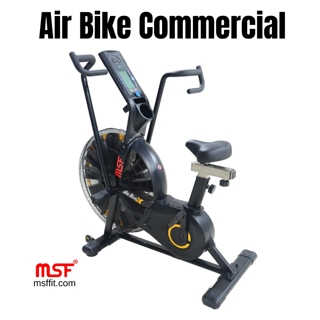 Air Bike (Commercial)