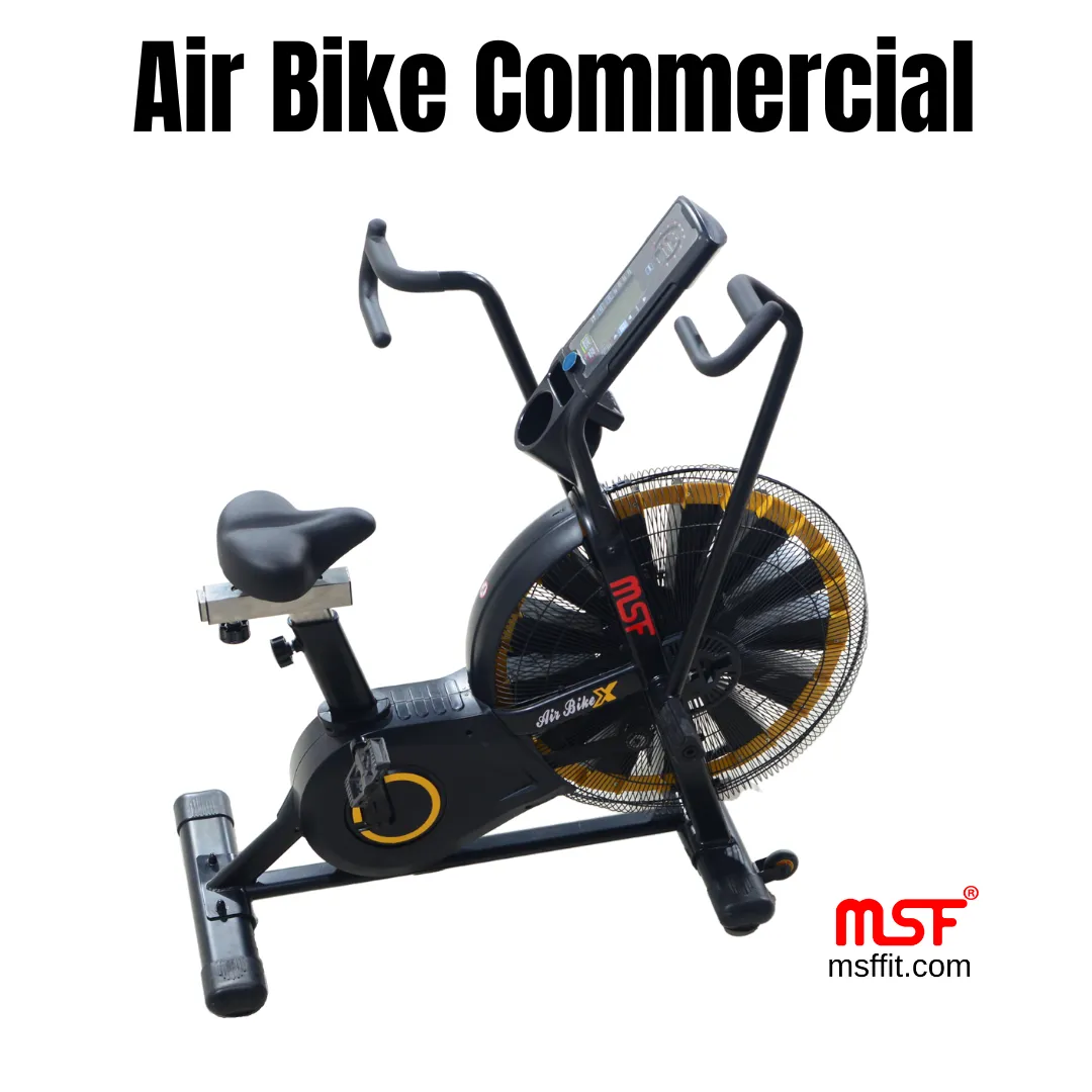 Air Bike (Commercial)