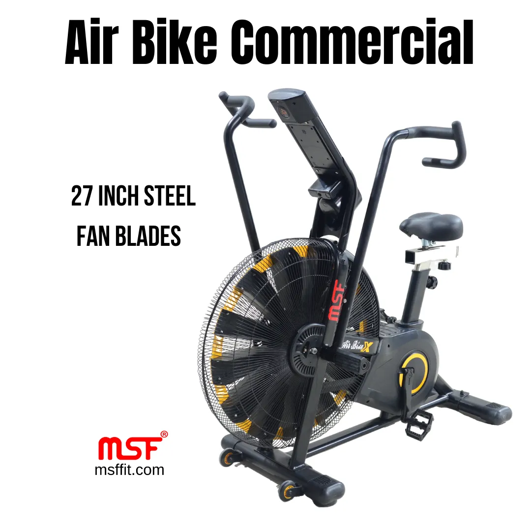 Air Bike (Commercial)