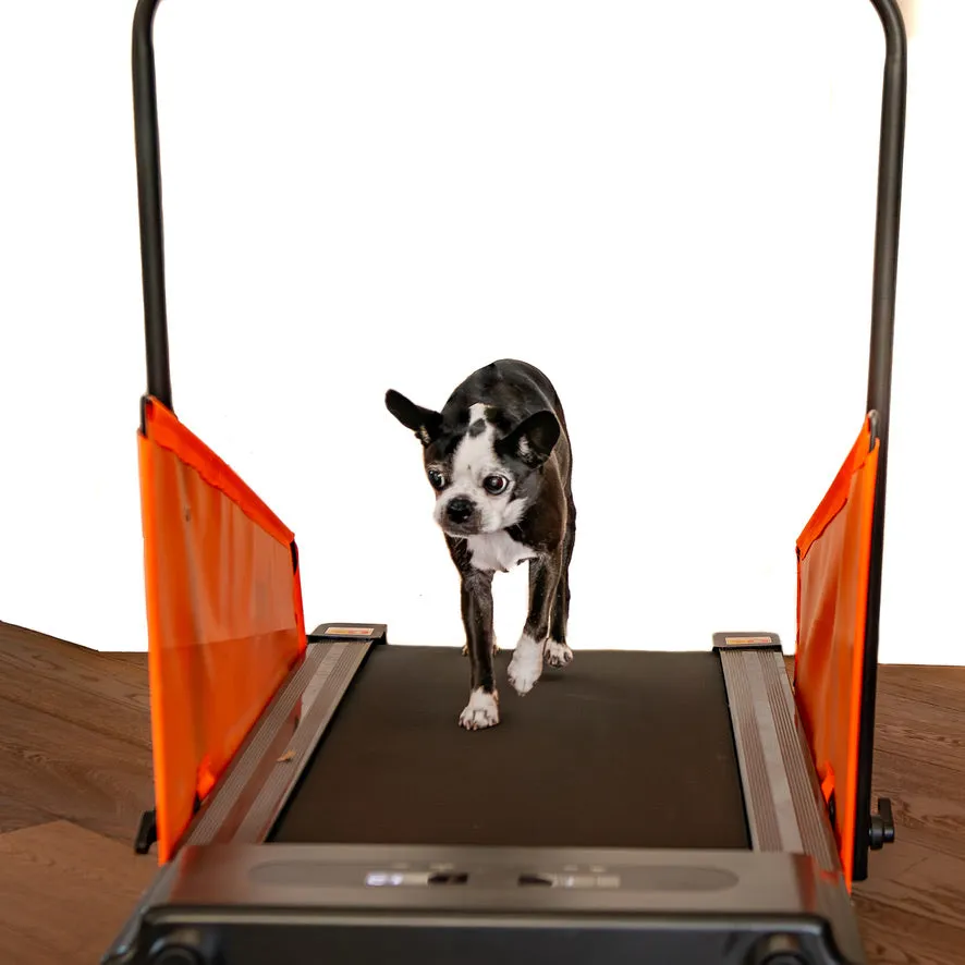 Motorized Electric Dog Treadmill - Premium Pet Exercise Solution for Small & Medium Dogs