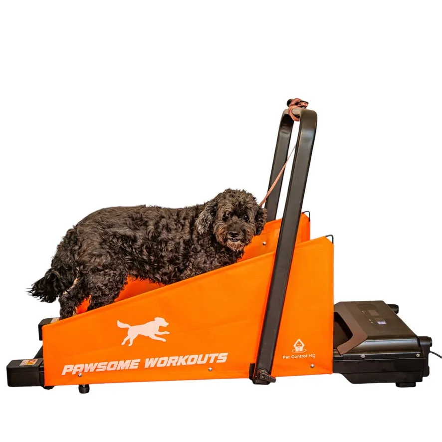 Motorized Electric Dog Treadmill - Premium Pet Exercise Solution for Small & Medium Dogs