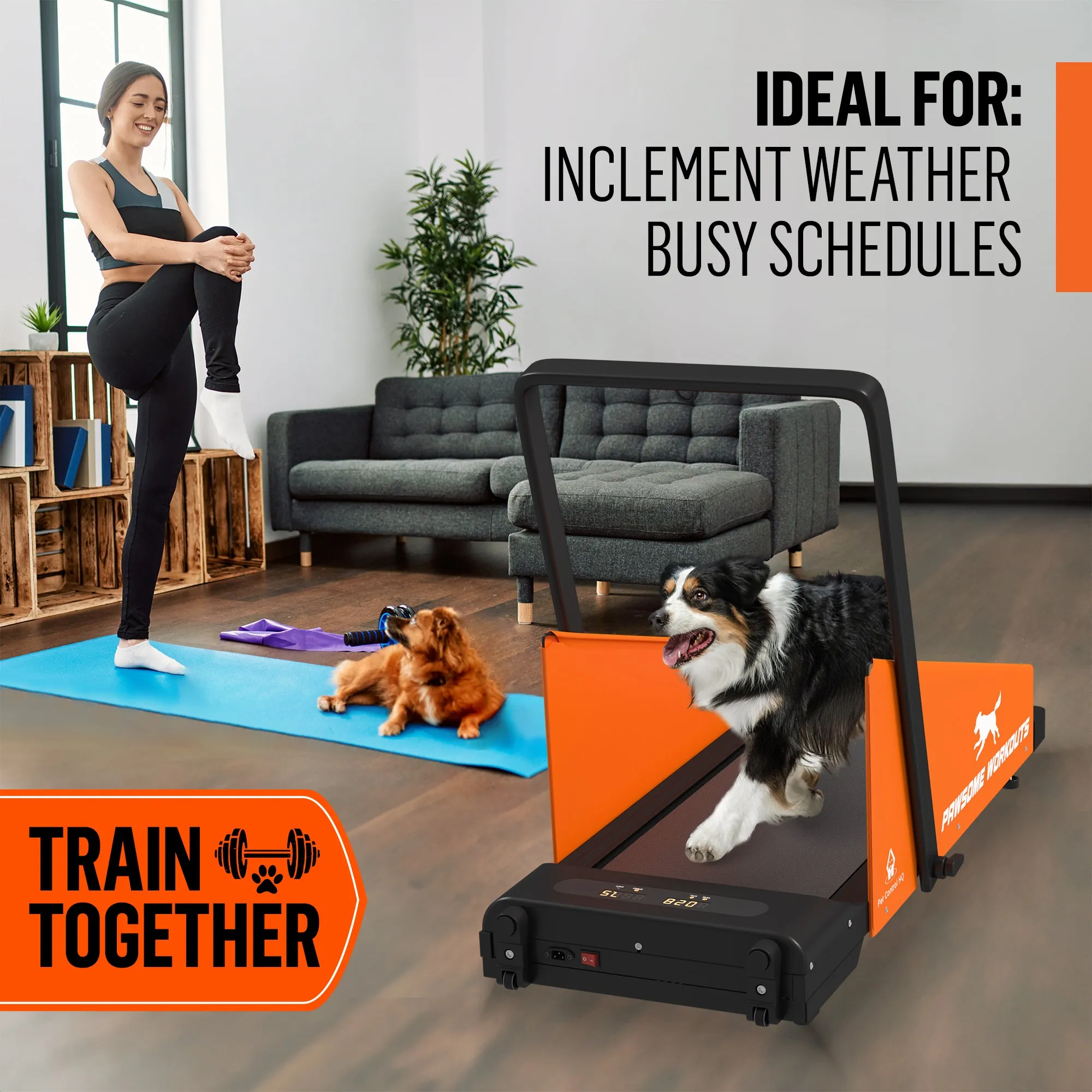 Motorized Electric Dog Treadmill - Premium Pet Exercise Solution for Small & Medium Dogs